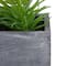 12" Mixed Succulent Plants in Rectangular Planter